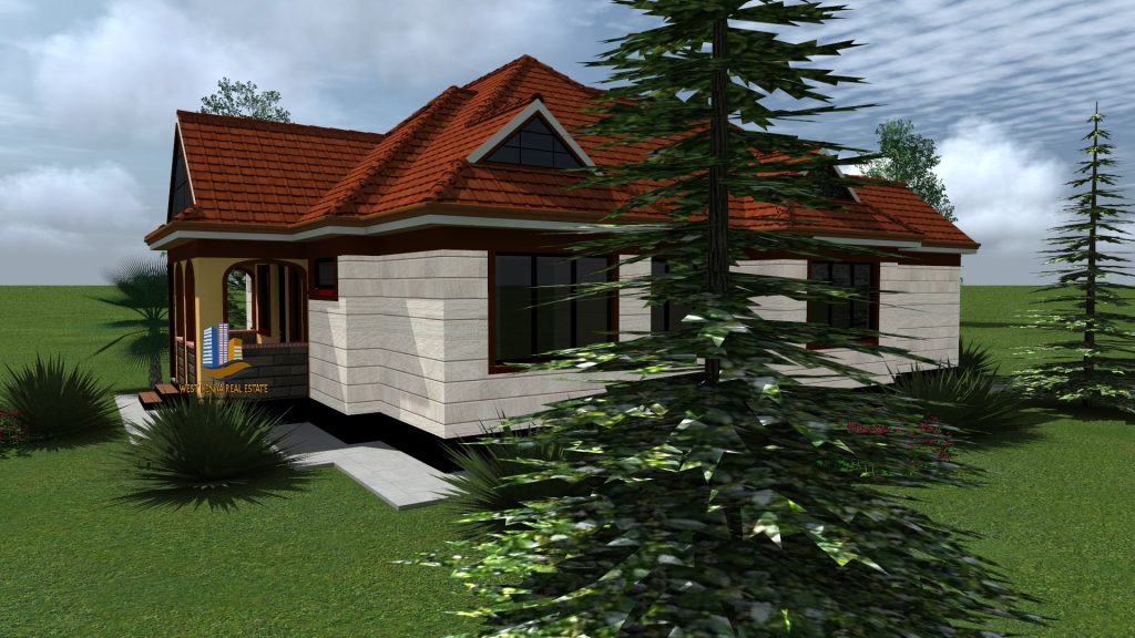 best house designs in Kenya on 50x100 in Kenya